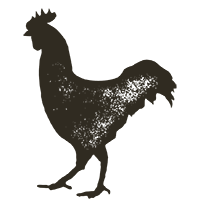 Aktuelles